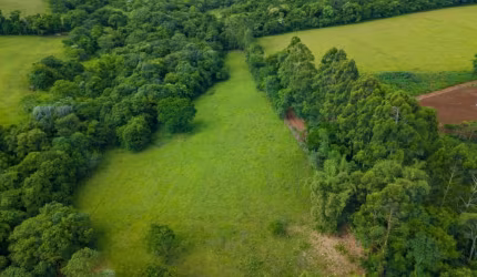 Chácara á Venda no Jardim Curitiba