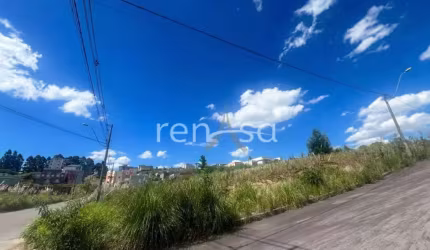 Terreno para venda, Desvio Rizzo, Caxias Do Sul - TE8405