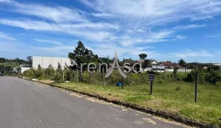 Terreno, Pioneiro, Caxias do Sul - 8599