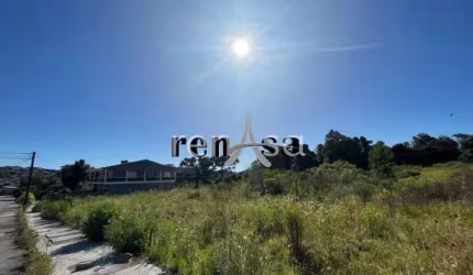 Terreno, São Caetano, Caxias do Sul - 8523