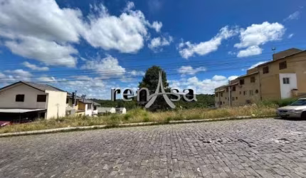 Terreno, Cidade Industrial, Caxias do Sul - 8503