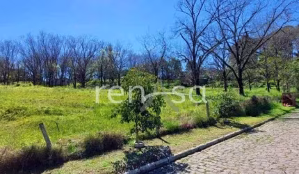 Terreno, São Caetano, Caxias do Sul - 7932