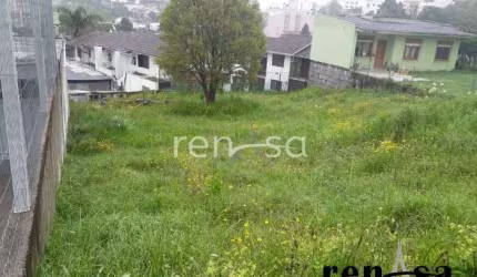 Terreno, Cristo Redentor, Caxias do Sul - 6545
