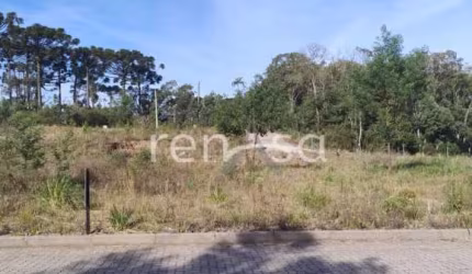 Terreno para venda, Ana Rech, Caxias Do Sul - TE8585