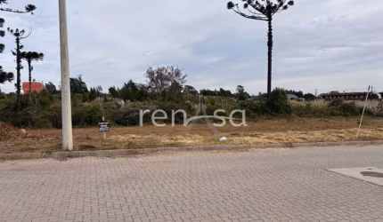 Terreno para venda,  Desvio Rizzo, Caxias Do Sul - TE8782