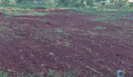 Terreno à venda, 1500 m² USO MISTO - City Ribeirão - Ribeirão Preto/SP