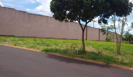 Terreno à venda, 386 m² por R$ 384.000 - Quintas de São José - Ribeirão Preto/SP