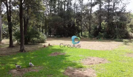 Chácara à venda ideal para construir predio residencial popular, 6789 m² por R$ 2.000.000 - Jardim Itaú - Ribeirão Preto/SP