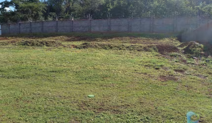 Terreno à venda, 551 m² por R$ 699.990,00 - Alphaville - Ribeirão Preto/SP