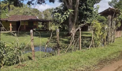 Rural - Chácara, para Venda em Ilhéus/BA
