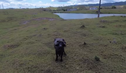 Rural - Fazenda, para Venda em Ilhéus/BA