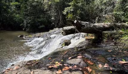 Rural - Fazenda, para Venda em Ilhéus/BA
