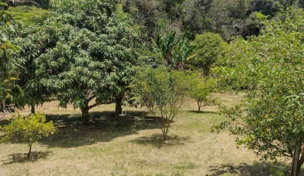 Chácara à venda, 3800 m² por R$ 350.000,00 - Bairro dos Martins - Socorro/SP