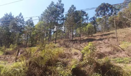 Terreno à venda, 6756 m² por R$ 385.000,00 - Chácara Santa Rita (Ouro Fino Paulista) - Ribeirão Pires/SP