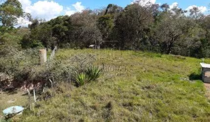 Terreno à venda, 2750 m² por R$ 640.000,00 - Chácara Maria Trindade - São Paulo/SP