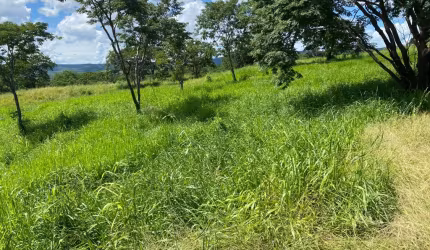 Fazenda de porteira fechada só na Sconcer Imobiliária