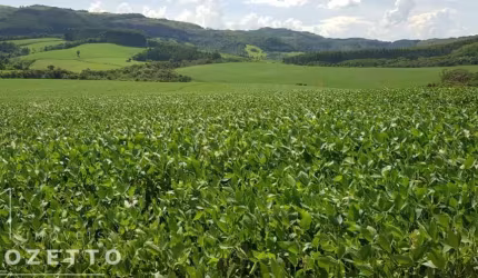 Venda de Fazenda em Piraí do Sul - Oportunidade Imperdível!