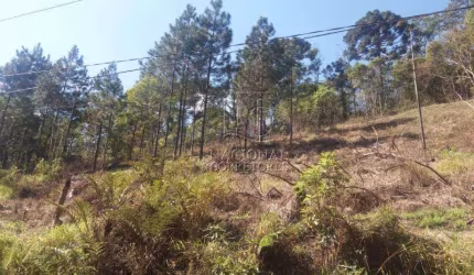 Terreno à venda, 6756 m² por R$ 385.000,00 - Chácara Santa Rita (Ouro Fino Paulista) - Ribeirão Pires/SP