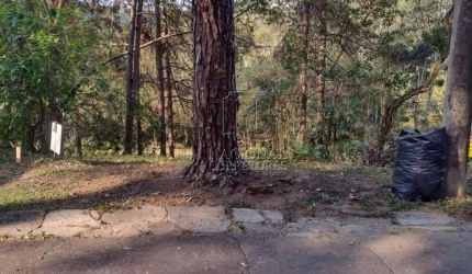 Terreno à venda, Granja Carneiro Viana - Cotia/SP