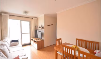 Apartamento à Venda - Cambuci, 3 Quartos,  60 m2
