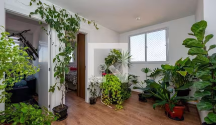 Apartamento à Venda - Vila Mascote, 2 Quartos,  39 m2