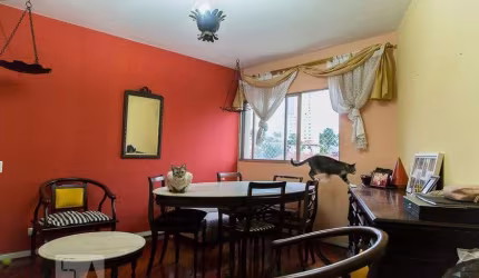 Apartamento à Venda - Vila Mascote, 2 Quartos,  75 m2