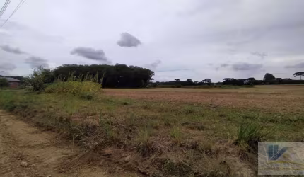 Terreno para Venda em São José dos Pinhais, Campo Largo da Roseira