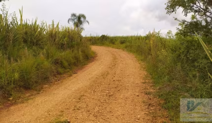 Terreno para Venda em São José dos Pinhais, Campestre da Faxina