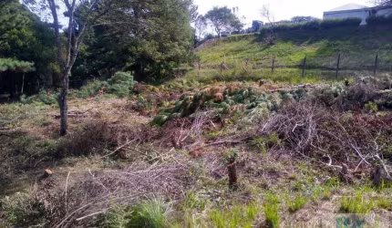 Terreno para Venda em São José dos Pinhais, Inhoaiva