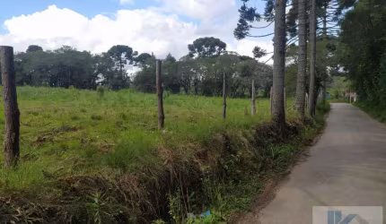 Terreno para Venda em São José dos Pinhais, Contenda, 1 dormitório