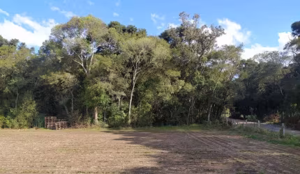Terreno para Venda em São José dos Pinhais, Campo Largo da Roseira