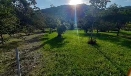 Sítio para Venda em Florianópolis, São João do Rio Vermelho, 1 dormitório, 1 banheiro