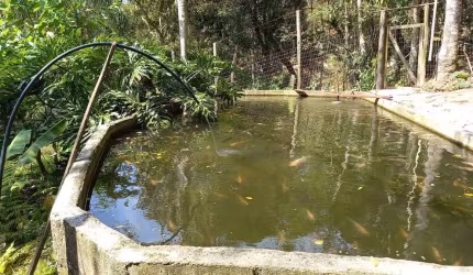 Sítio para Venda em Florianópolis, Vargem do Bom Jesus, 3 dormitórios, 1 suíte, 2 banheiros, 2 vagas
