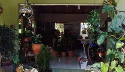 Ponto Comercial para Venda em Florianópolis, São João do Rio Vermelho