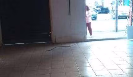 Salão para alugar, 50 m² por R$ 6.400,00/mês - Saúde - São Paulo/SP