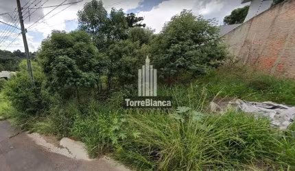 Terreno à venda, Estrela, Ponta Grossa, PR