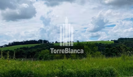 Terreno à Venda, Contorno, Ponta Grossa, PR