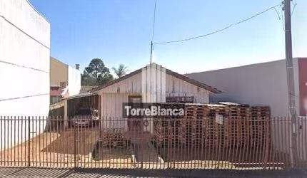 Terreno em Palmeira