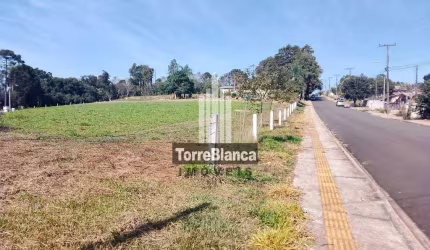 Terreno para locação area urbana , Chapada, Ponta Grossa, PR