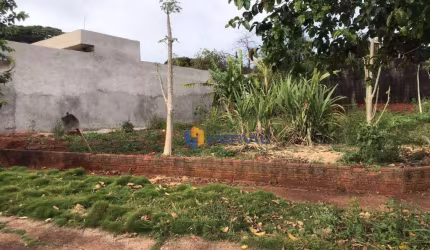 Terreno à venda, 329 m² por R$ 330.000,00 - Jardim Universo - Maringá/PR