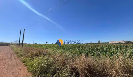 Terreno à venda, 73440000 m² por R$ 6.000.000 - Zona Rural - Maringá/PR