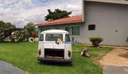Chácara com 3 quartos, sendo 1 suíte para alugar, 500 m² por R$ 2.400/mês - Loteamento Bela Vista - Maringá/PR