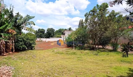 (Aceita troca) Terreno à venda, 980 m² por R$ 590.000 - Vila Morangueira - Maringá/PR