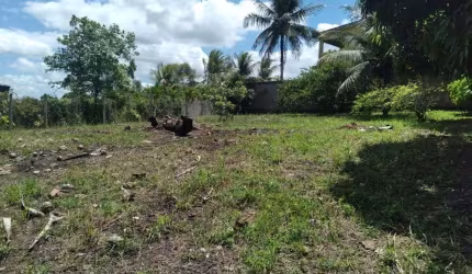 Terreno de 3000m² à venda, localizado em Chã de Onça, Paudalho - Pernambuco.