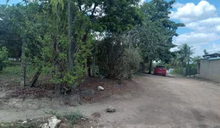 Terreno de 2.800m² à venda, localizado em Chã de Onça, Paudalho - Pernambuco.