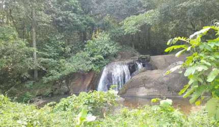 Chácara de 49.736m² à venda, com duas casas e uma casa de caseiro, localizada em Aldeia, Camaragibe - Pernambuco.