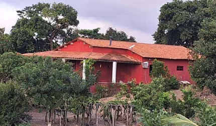 Chácara de 1 hectares e 200m, com casa principal, localizada em Sairé - Pernambuco.