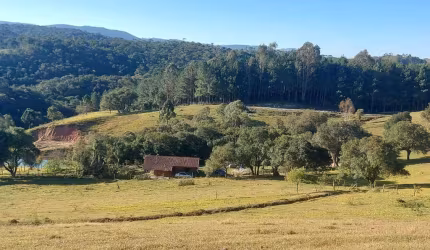Sítio / Chácara para Venda em Bocaiúva do Sul, CABEÇA D´ANTA