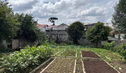 Terreno para permuta no Novo Mundo