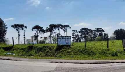 Terrenos / Lotes / Condomínio  em Rio Pequeno  -  São José dos Pinhais